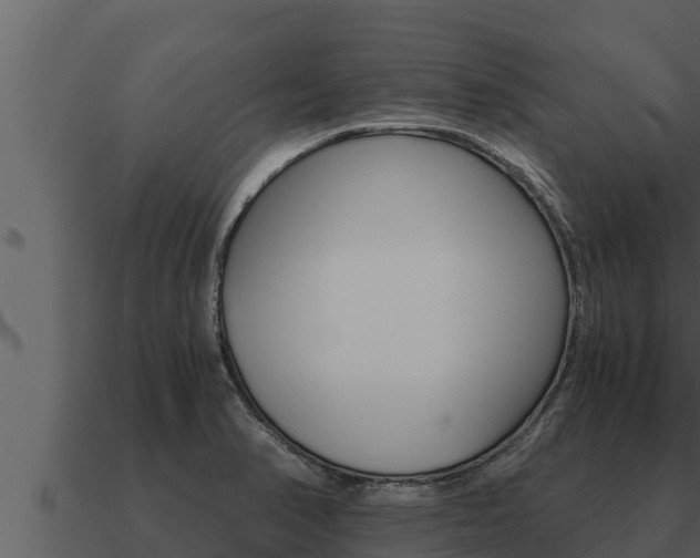 X0000091101374200708061012