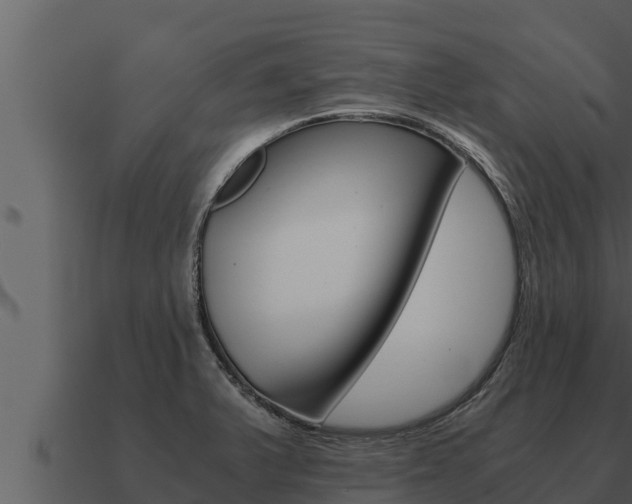 X0000091101375200708061012