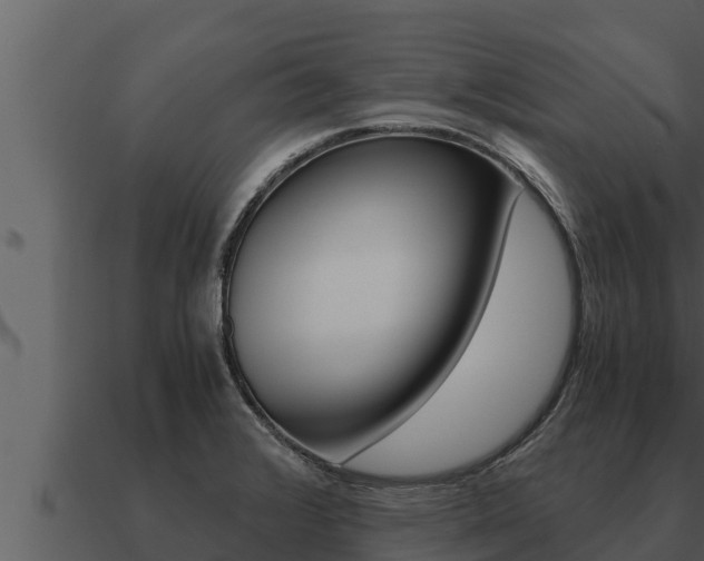 X0000091101376200708061012