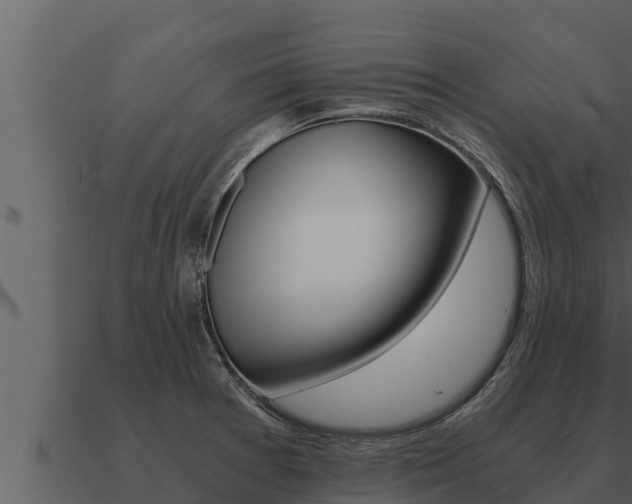 X0000091101377200708061012