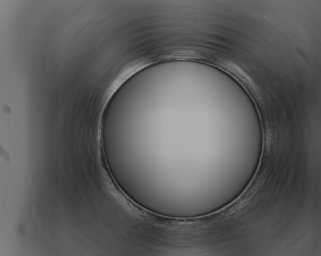 X0000091101378200708061012