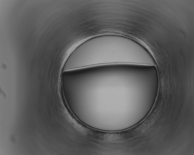X0000091101379200708061012