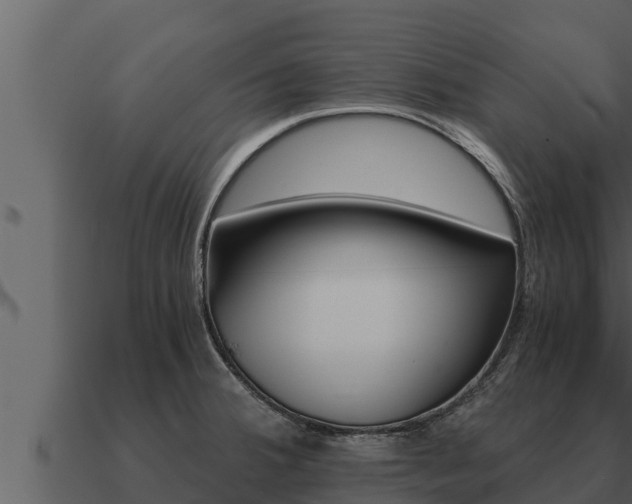 X0000091101380200708061012