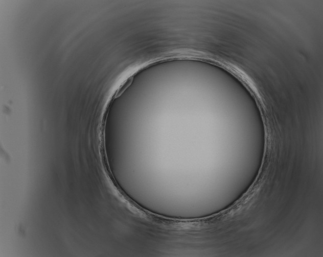 X0000091101381200708061012