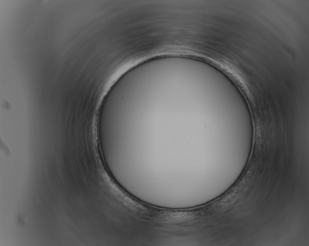 X0000091101382200708061012