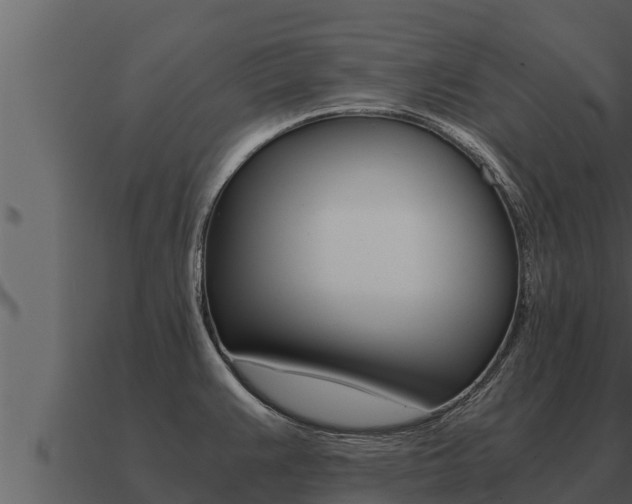 X0000091101383200708061012