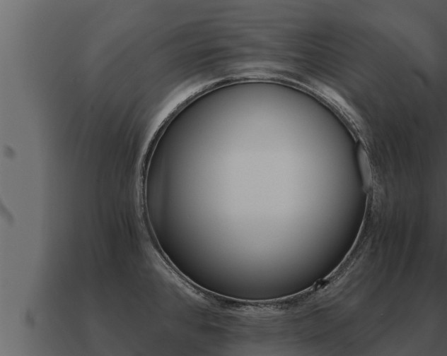 X0000091101384200708061012