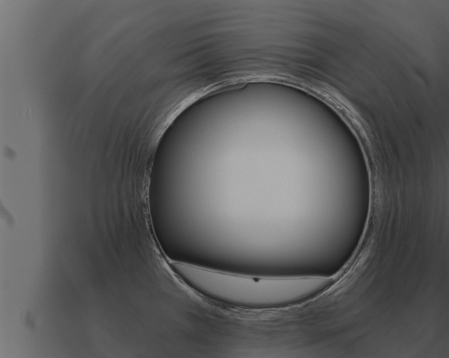 X0000091101385200708061012