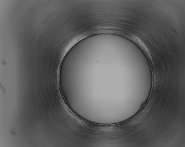 X0000091101386200708061012