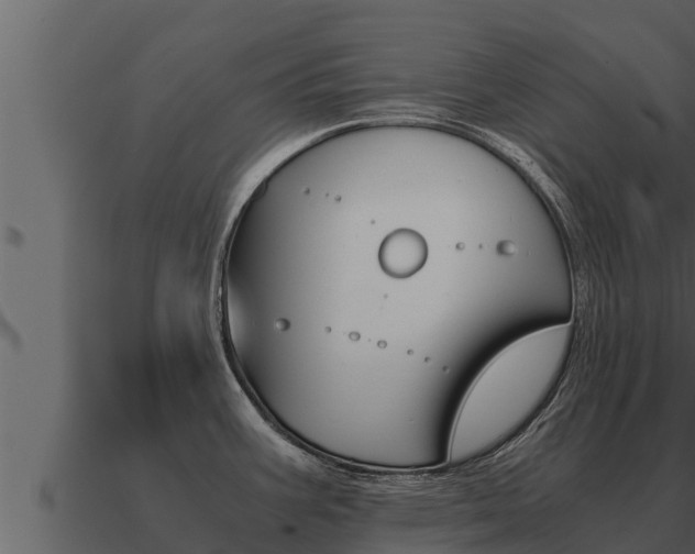 X0000091101387200708061012