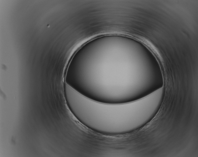 X0000091101388200708061012