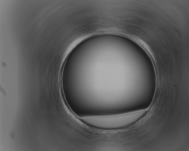 X0000091101389200708061012