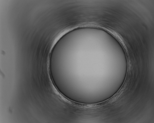 X0000091101390200708061012