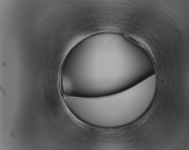 X0000091101391200708061012