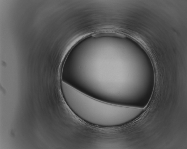 X0000091101392200708061012
