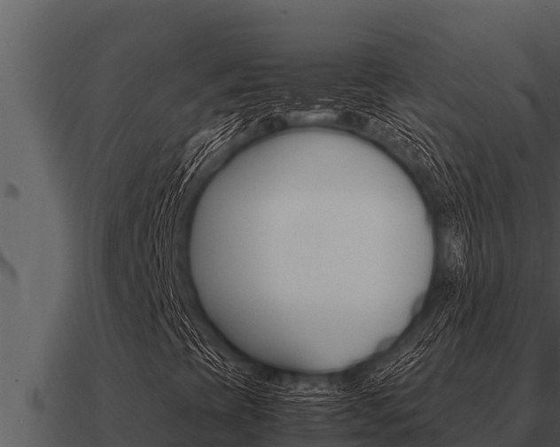 X0000091101393200708061011