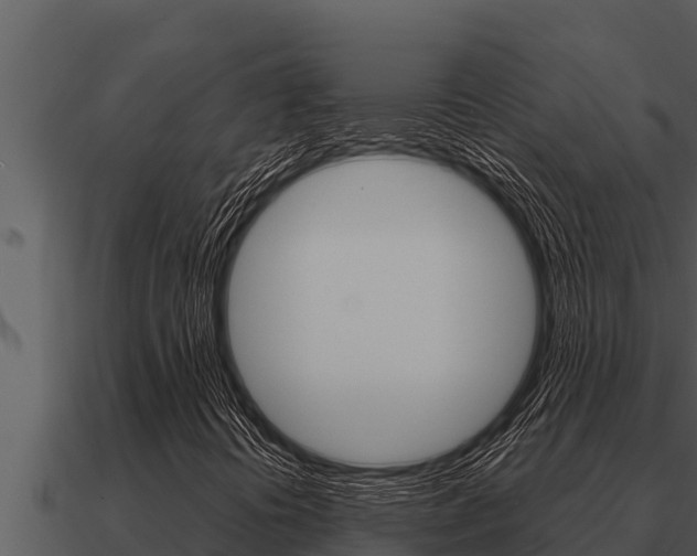 X0000091101394200708061011
