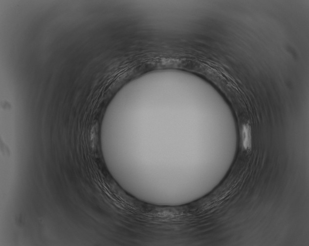 X0000091101395200708061011