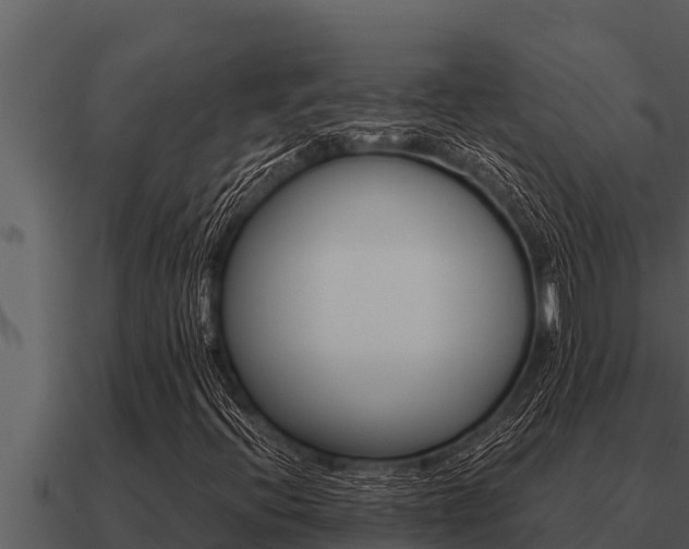 X0000091101396200708061011