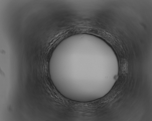 X0000091101397200708061011