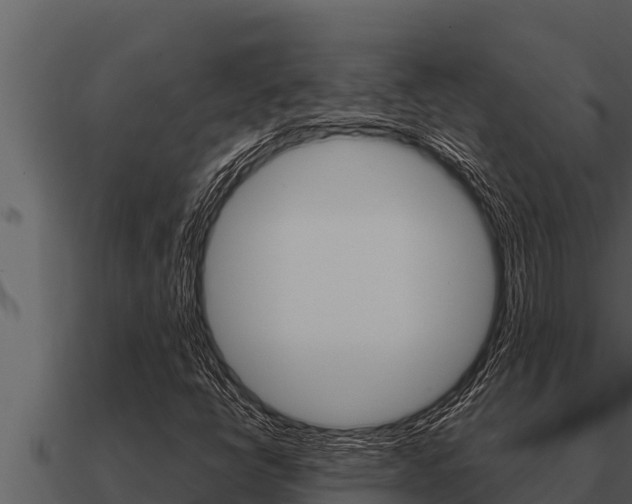 X0000091101398200708061011