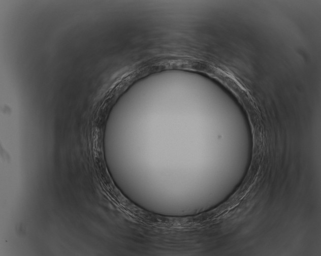 X0000091101399200708061011