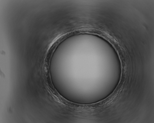 X0000091101400200708061011