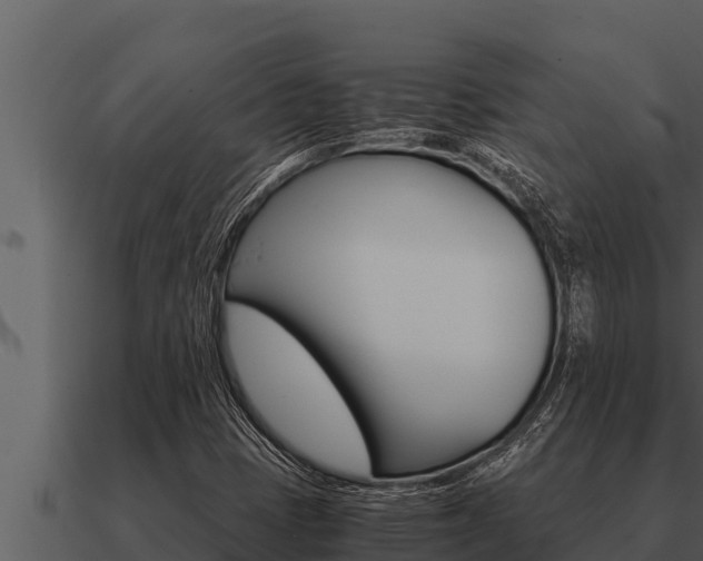 X0000091101401200708061011