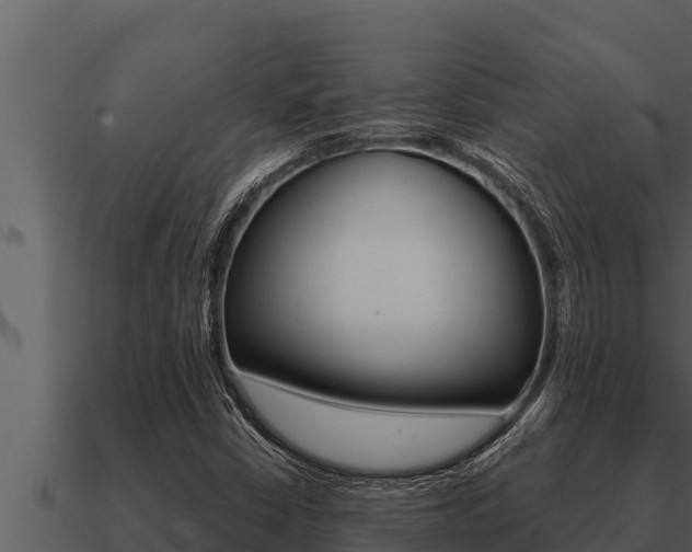 X0000091101402200708061011