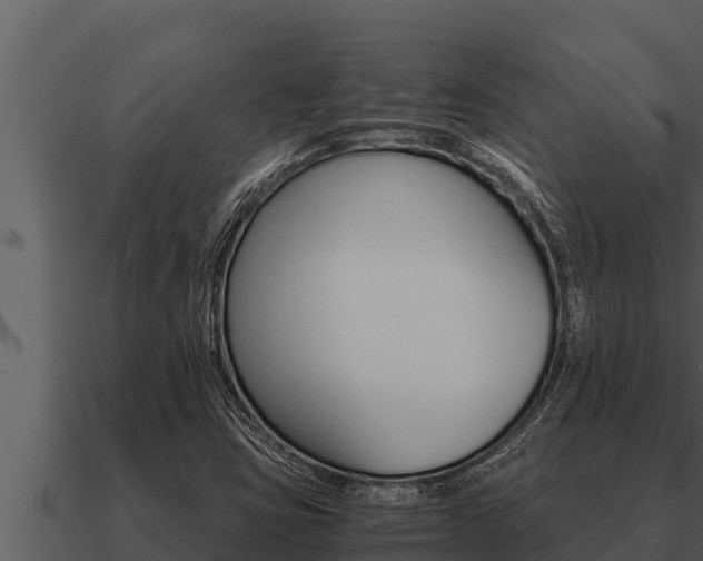 X0000091101403200708061011