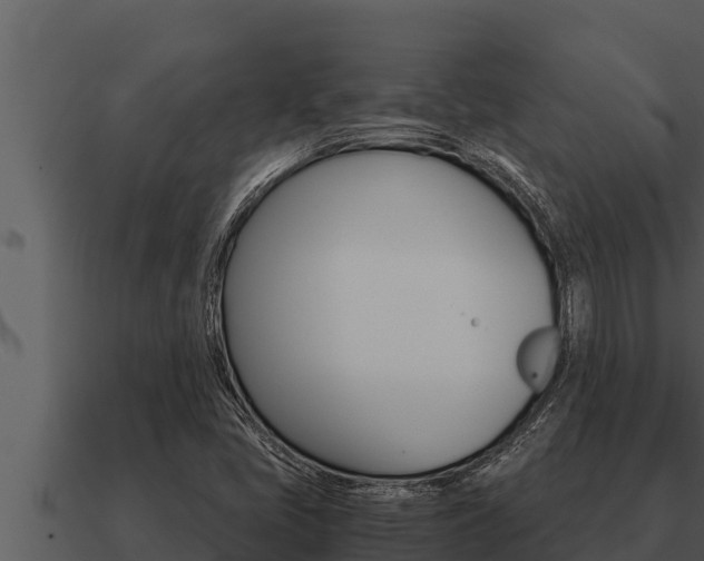 X0000091101405200708061011