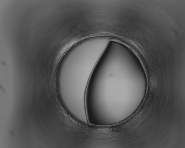 X0000091101406200708061011