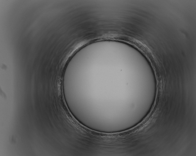 X0000091101409200708061011