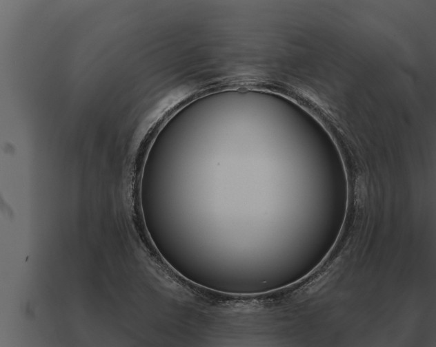 X0000091101410200708061012