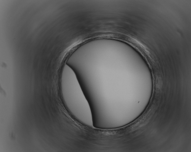 X0000091101411200708061012