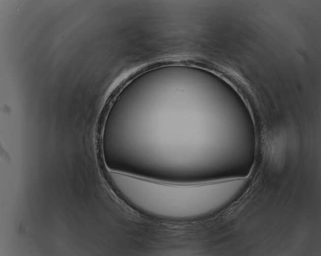 X0000091101412200708061012
