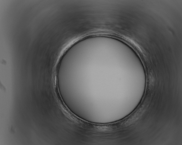 X0000091101413200708061012