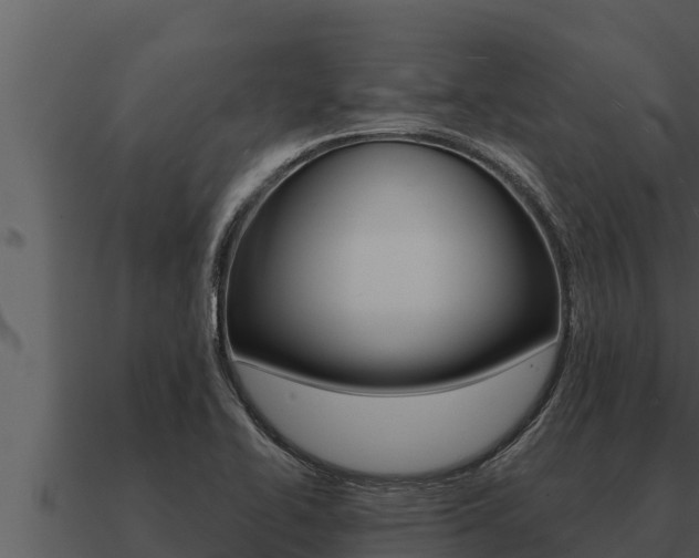 X0000091101414200708061012