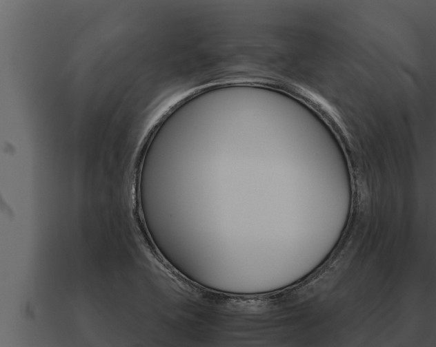X0000091101415200708061012