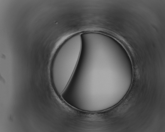 X0000091101416200708061012