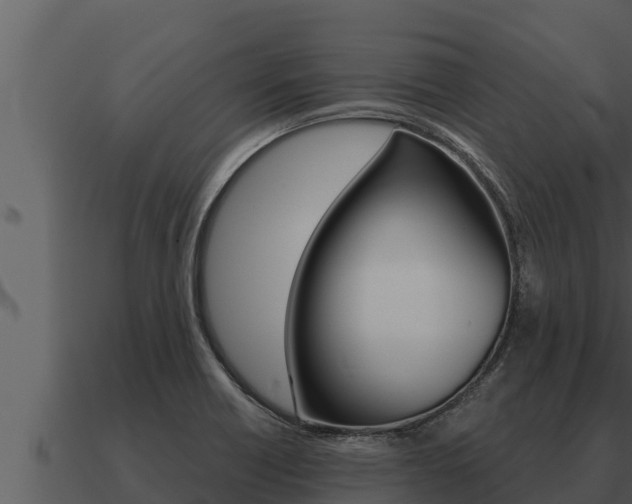 X0000091101418200708061012