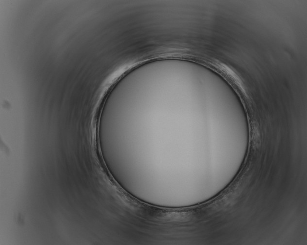X0000091101419200708061012