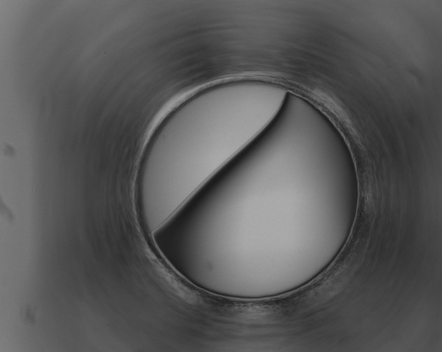 X0000091101420200708061012