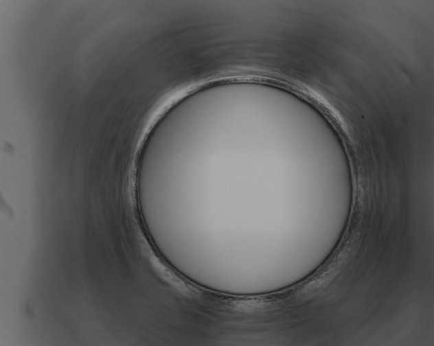 X0000091101421200708061012