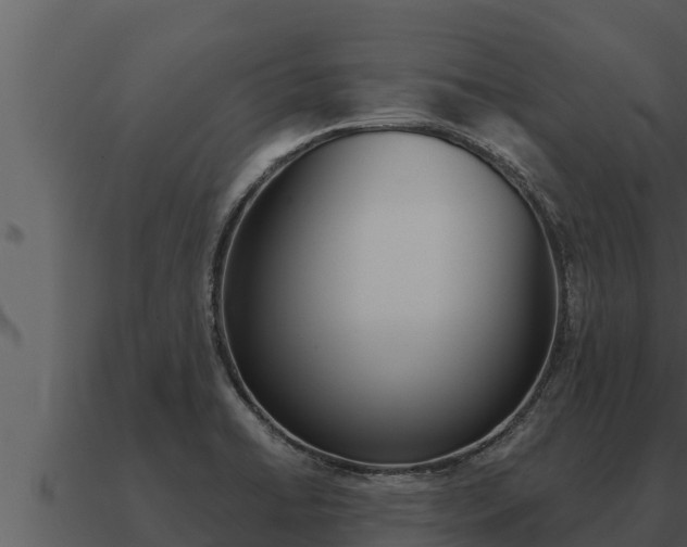 X0000091101422200708061012
