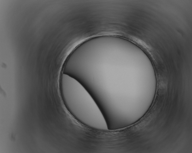 X0000091101423200708061012