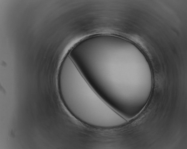 X0000091101424200708061012