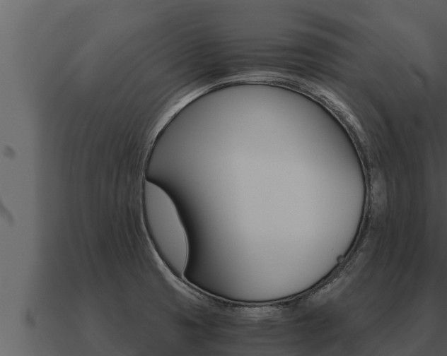 X0000091101425200708061012