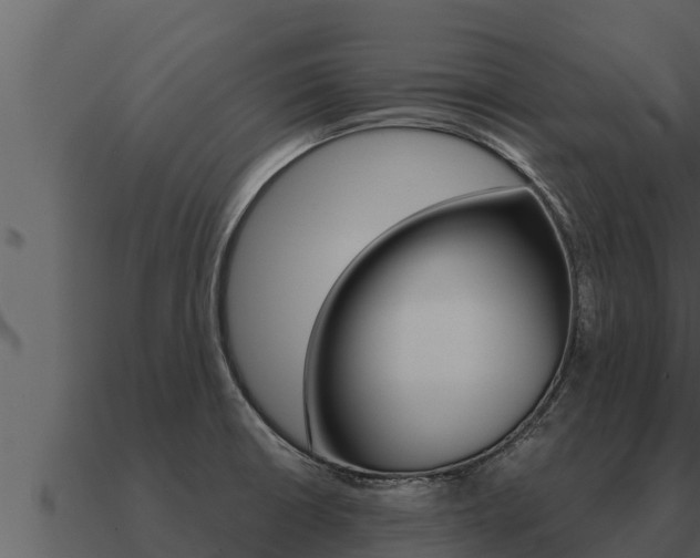 X0000091101426200708061012