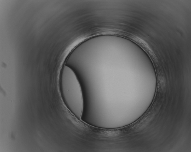 X0000091101427200708061012